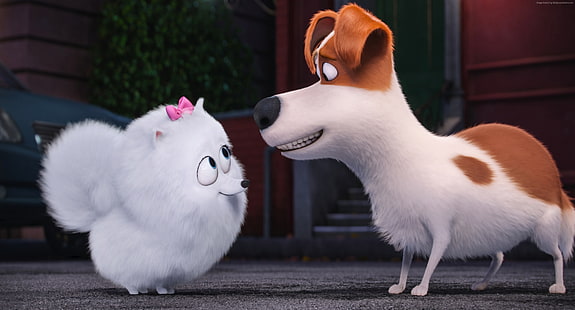 만화, 애완 동물의 비밀 생활, 2016 년 최고의 애니메이션 영화, 개, HD 배경 화면 HD wallpaper