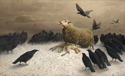 albrecht schenck pittura pecore uccelli arte classica corvo, Sfondo HD HD wallpaper