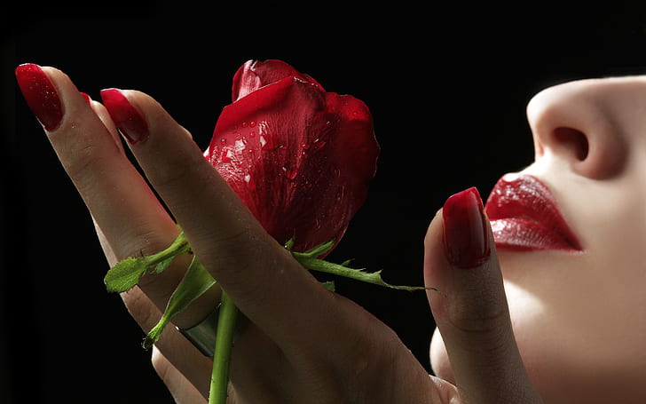 Rote Rose & Lippen, Lippen, Rose, HD-Hintergrundbild