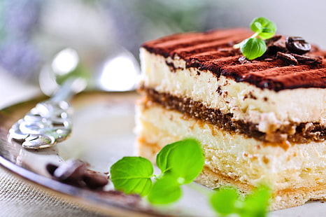 chocolate cake, food, chocolate, sweets, cake, mint, dessert, sweet, biscuit, tiramisu, HD wallpaper HD wallpaper