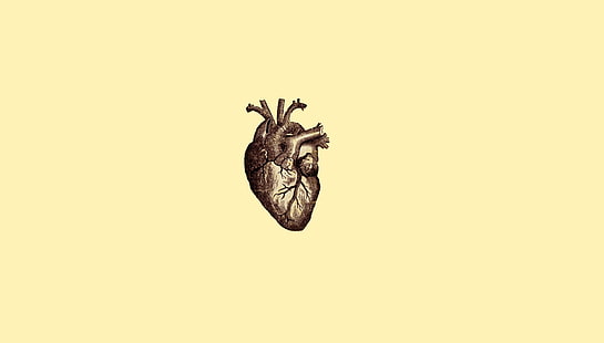 simple background, simple, minimalism, drawing, heart, veins, anatomy, medicine, digital art, HD wallpaper HD wallpaper