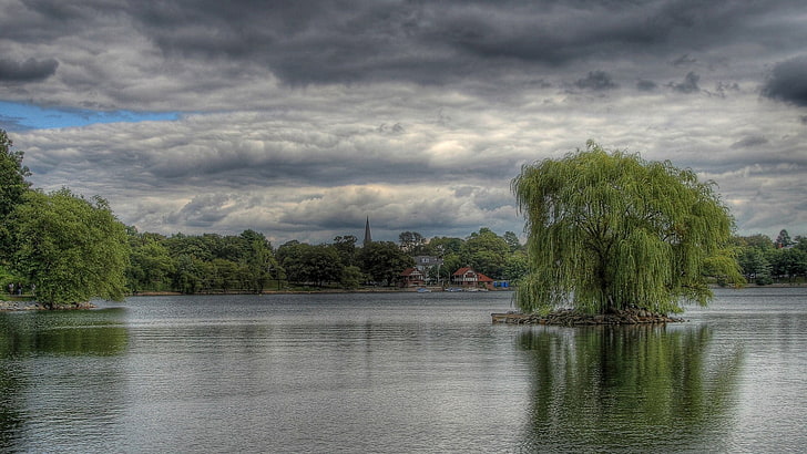 green willow tree, landscape, HDR, willow trees, willows, lake, island, HD wallpaper