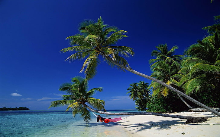 червен хамак, природа, тропически, плаж, палми, HD тапет