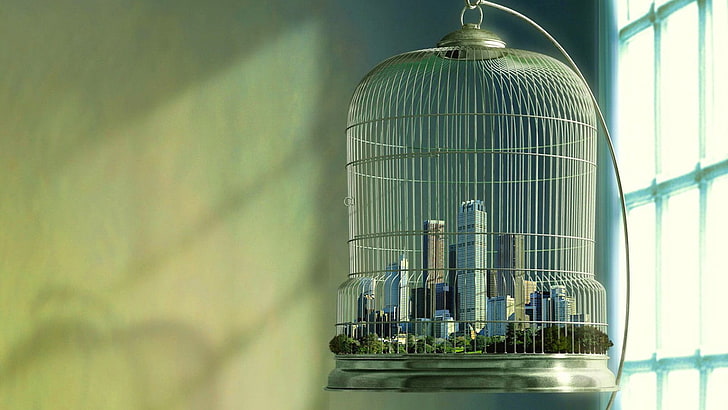cage à oiseaux vert et blanc, cages, paysage urbain, fenêtre, art numérique, Fond d'écran HD