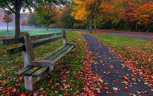 Park, trees, leaves, grass, road, bench, colors, autumn, Park, Trees, Leaves, Grass, Road, Bench, Colors, Autumn, HD wallpaper HD wallpaper