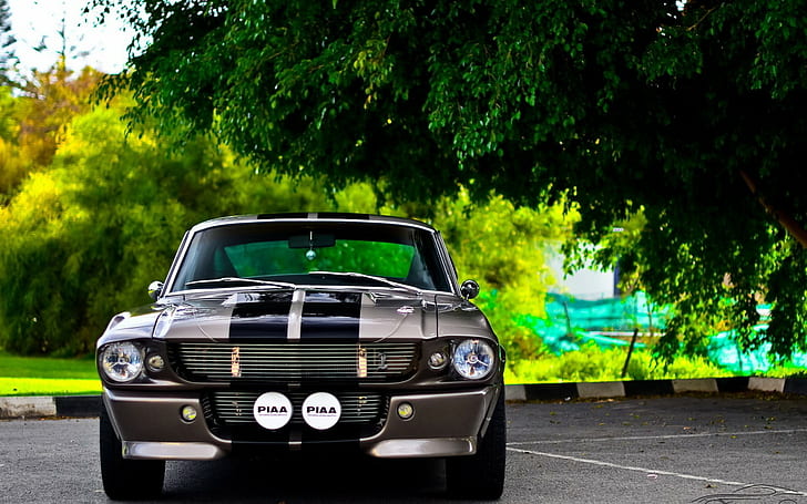 GT500, Eleanor (Auto), Shelby, HD-Hintergrundbild