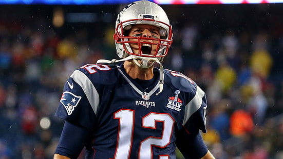 Sepak bola, Tom Brady, New England Patriots, Wallpaper HD HD wallpaper