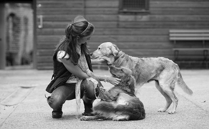 Love For Pets, woman with two golden retrievers grayscale photography, Black and White, Love, pets, HD wallpaper