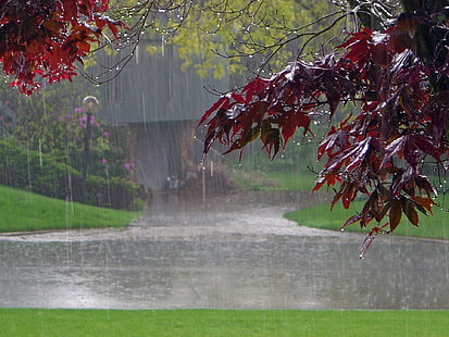 Фотография, дождь, осень, HD обои HD wallpaper