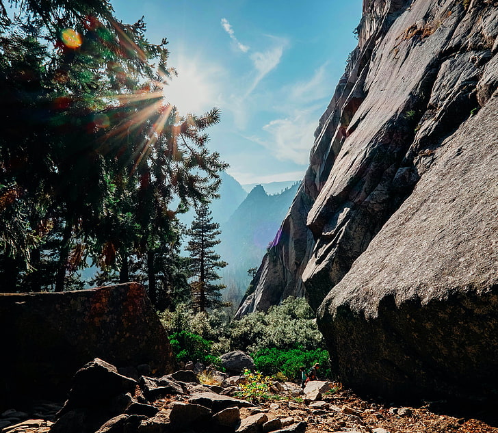 mountains, trees, Yosemite National Park, nature, sunlight, rock, HD wallpaper