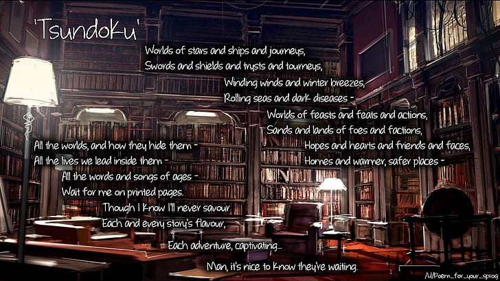 perpustakaan, puisi, rak buku, Wallpaper HD