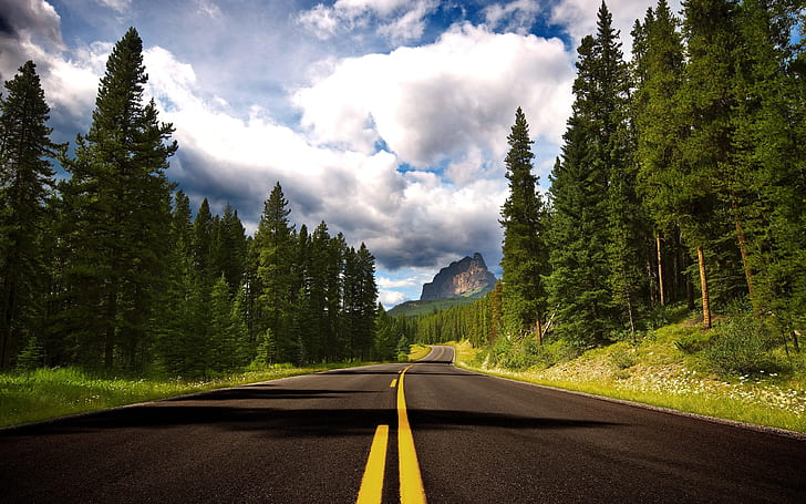 Route to Castle Mountain, road, forest, trees, HD wallpaper