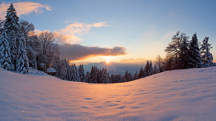 Invierno, nieve, sol, luz, bosque, árboles, puesta de sol, invierno, nieve, sol, luz, bosque, árboles, puesta de sol, Fondo de pantalla HD