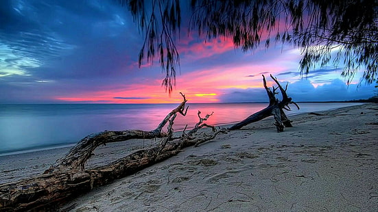 coastline, sunset, horizon, sky, evening, beach, coast, silence, HD wallpaper HD wallpaper
