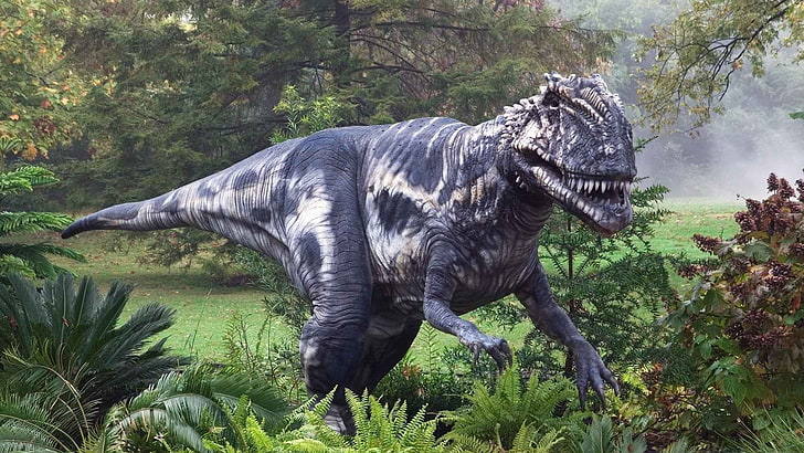 動物 恐竜 ティラノサウルスレックス Hdデスクトップの壁紙 Wallpaperbetter
