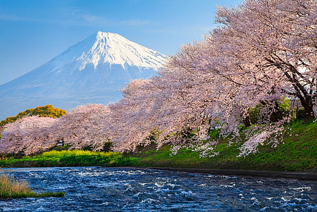 travel, tourism, National Geographic Traveler Photo Contest, 4k, sakura, japan, river, fuji, HD wallpaper HD wallpaper