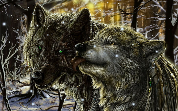 Lobos, pareja, ternura, lengua, amor, nieve, Fondo de pantalla HD |  Wallpaperbetter