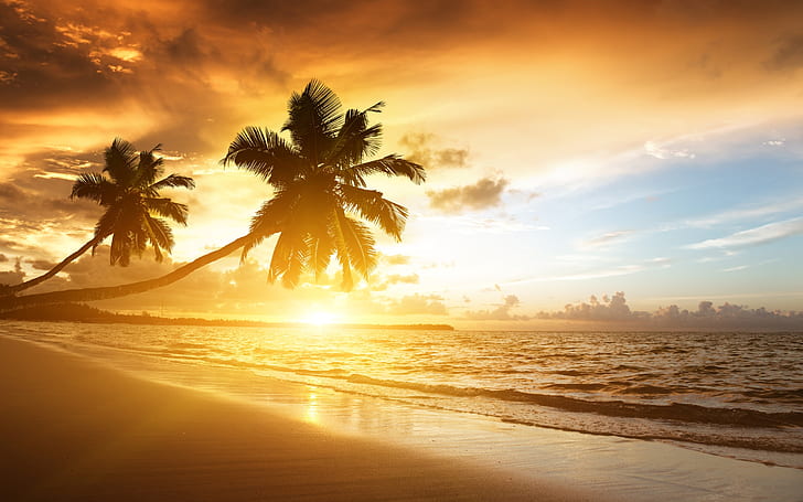 Pantai Karibia pemandangan indah, matahari terbit, pohon-pohon palem, laut, awan, langit, pohon palem pantai dan matahari terbenam, Karibia, Pantai, Indah, Pemandangan, Matahari Terbit, Palm, Pohon, Laut, Awan, Langit, Wallpaper HD