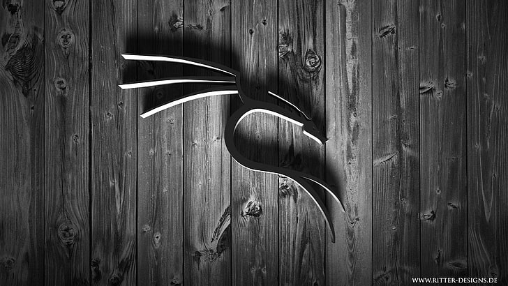 décoration murale en métal noir, Linux, Kali Linux NetHunter, Kali Linux, Fond d'écran HD