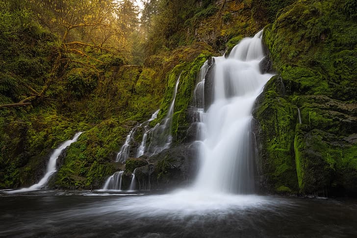 Wald, Felsen, Fluss, Wasserfall, Moos, Kaskade, Columbia River Gorge, Bundesstaat Washington, The Columbia River Gorge, Washington, HD-Hintergrundbild