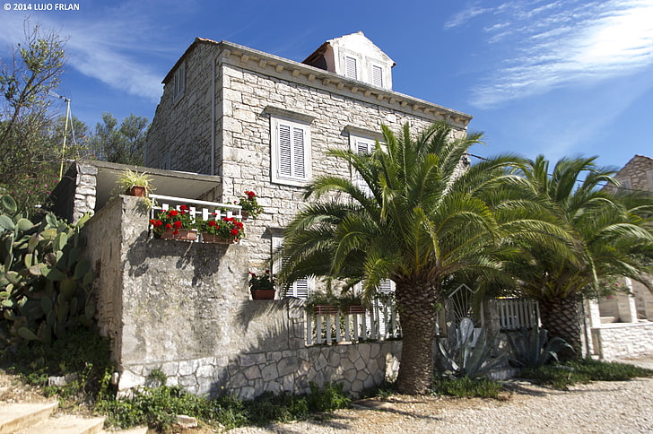 iki sago palmiye bitkileri, Vela Luka, Hırvatistan, Korčula, Hrvatska, taş ev, HD masaüstü duvar kağıdı
