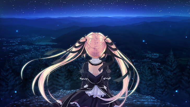 Anime, Anime Girls, Nacht, Landschaft, lange Haare, Himmel, HD-Hintergrundbild