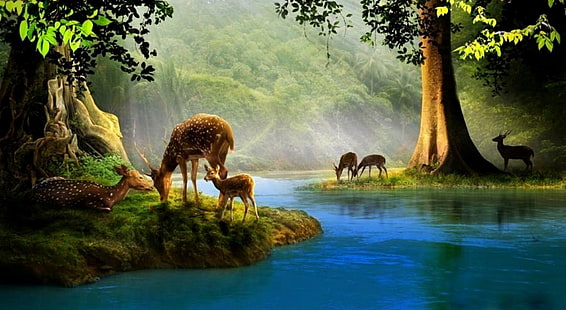 鹿の図、動物、鹿、動物の赤ちゃん、図面、子鹿、野生動物、 HDデスクトップの壁紙 HD wallpaper