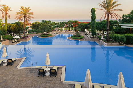 blue swimming pool, tropical, resort, palm trees, swimming pool, HD wallpaper HD wallpaper