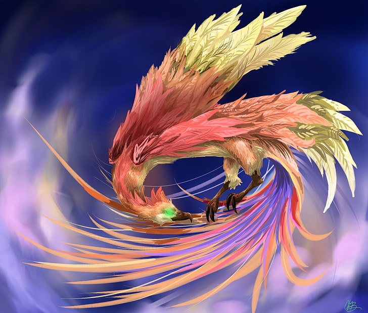 red and yellow phoenix, look, bird, feathers, beak, art, tail, Phoenix, HD wallpaper