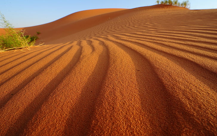 Desert Sand HD, brown sands, nature, desert, sand, HD wallpaper