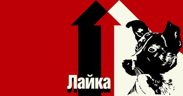 Ahoi, Laika, UdSSR, Sowjetunion, Hund, HD-Hintergrundbild HD wallpaper