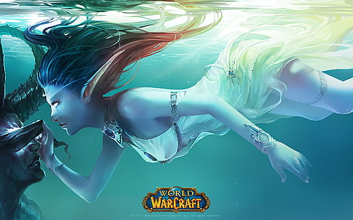 Warcraft, World Of Warcraft, Illidan Stormrage, Tyrande Whisperwind, HD tapet HD wallpaper
