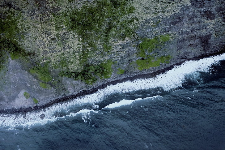 orilla del mar, musgo, roca, olas, agua, Fondo de pantalla HD