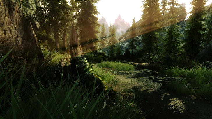 أشجار الصنوبر الخضراء ، The Elder Scrolls V: Skyrim ، ألعاب الفيديو، خلفية HD