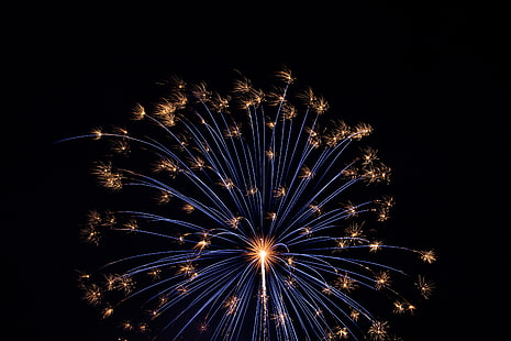 fireworks display, salute, fireworks, holiday, HD wallpaper HD wallpaper