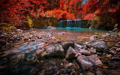красное цветущее дерево и водопады, пейзаж, природа, водопад, пруд, лес, красочный, красный, желтый, листья, деревья, HD обои HD wallpaper