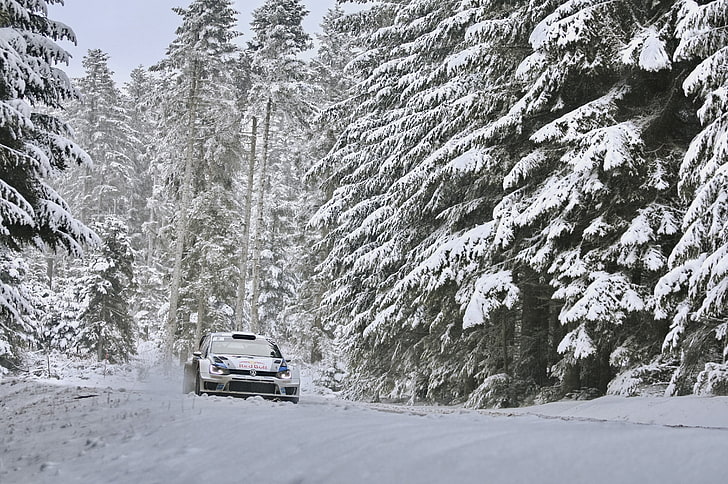 mobil putih, Musim Dingin, Hutan, Volkswagen, Mesin, WRC, Rally, Rides, Polo, Sebastien Ogier, Wallpaper HD