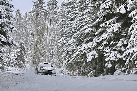Carro branco, Inverno, Floresta, Volkswagen, Máquina, WRC, Rali, Passeios, Polo, Sebastien Ogier, HD papel de parede HD wallpaper