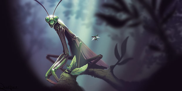 Praying Mantis, insect, Lorenzo Lanfranconi, macro, leaves, painting, nature, HD wallpaper HD wallpaper