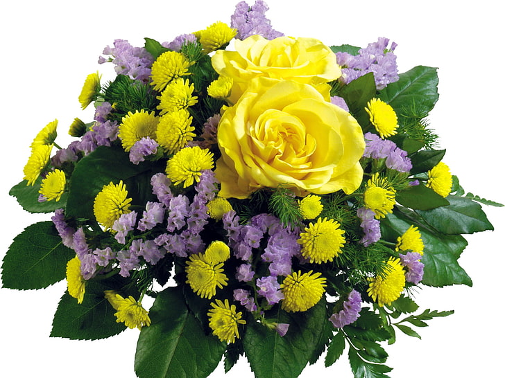 yellow and purple flowers, roses, chrysanthemums, flowers, herbs, flower, HD wallpaper