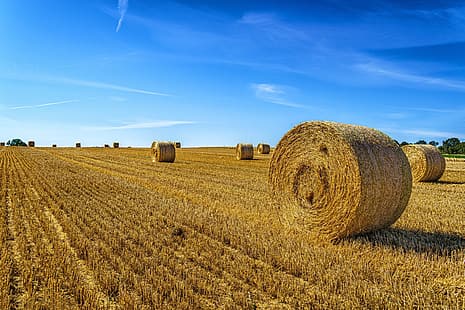  field, hay, bales, HD wallpaper HD wallpaper