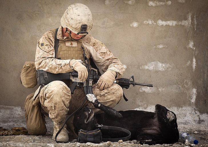 rifle de asalto negro, soldado, perro, animales, militar, casco, arma, Fondo de pantalla HD