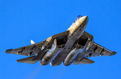 muchy, błękitne niebo, Su-57, samolot bojowy, Tapety HD HD wallpaper