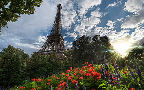 都市の景観、パリ、エッフェル塔、フランス、 HDデスクトップの壁紙 HD wallpaper