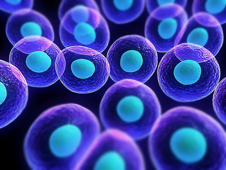 fioletowe i niebieskie cząsteczki, komórki, biologia, nauka, Tapety HD