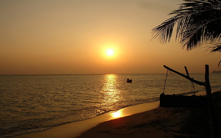 palm tree silhouette, Thailand, sunset, beach, landscape, HD wallpaper