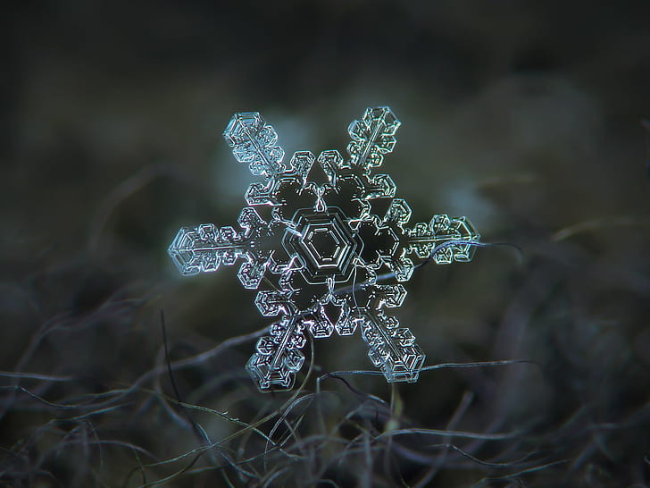 photography of crustal snowflake, Real, snowflake, Slight, asymmetry, explore, photography, crustal, background, nature, photo, snow, abstract, macro, christmas, unique, detail, frost, microscopic, season, natural, closeup, weather, cold, ice, hexagonal, symmetric, structure, light, shape, symbol, rare, design, symmetrical, geometric, glittering, water, amazing, frosted, symmetry, ze, magnified, small, elegant, beautiful, north, fragility, frosty, glitter, sparkle, color, nobody, single, star, dark  blue, blue  gray, fibers, woolen, frozen, stellar, dendrite, upclose, снежинка, hexagon, solid, cool, wool, winter, backgrounds, HD wallpaper