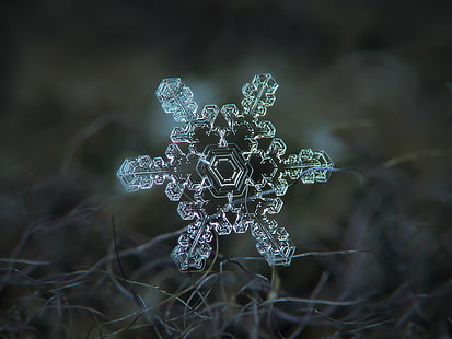 photography of crustal snowflake, Real, snowflake, Slight, asymmetry, explore, photography, crustal, background, nature, photo, snow, abstract, macro, christmas, unique, detail, frost, microscopic, season, natural, closeup, weather, cold, ice, hexagonal, symmetric, structure, light, shape, symbol, rare, design, symmetrical, geometric, glittering, water, amazing, frosted, symmetry, ze, magnified, small, elegant, beautiful, north, fragility, frosty, glitter, sparkle, color, nobody, single, star, dark  blue, blue  gray, fibers, woolen, frozen, stellar, dendrite, upclose, снежинка, hexagon, solid, cool, wool, winter, backgrounds, HD wallpaper HD wallpaper