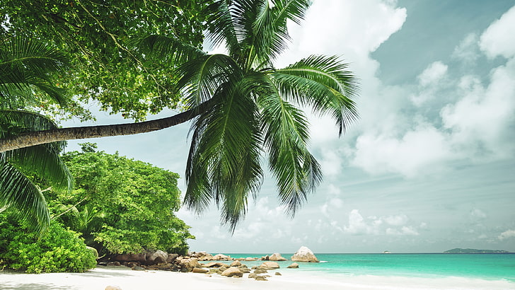 strand, tropisk ö, tropisk strand, moln, lagun, hav, tropisk, palm, semester, tropiker, himmel, vatten, träd, karibisk, arecales, palmträd, maldiverna, HD tapet