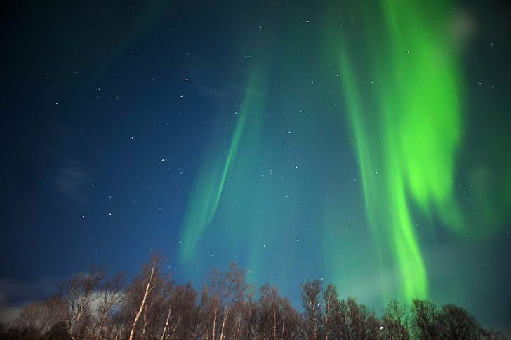 صورة Aurora Buriales ، النرويج ، النرويج ، Aurora borealis ، Malangen ، Norway ، photo ، Aurora borealis ، Northern Light ، Northern Light ، Nordlicht ، Norwegen ، Leica SL ، Leica SL ، night ، star - space ، علم الفلك ، aurora Polaris ، الفضاء ، الطبيعة ، المجرة ، السماء ، الأزرق ، الظلام ، درب التبانة، خلفية HD
